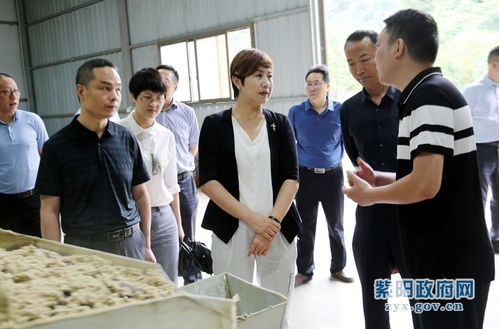 陳蓮調(diào)研工業(yè)穩(wěn)增長與新社區(qū)工廠發(fā)展工作